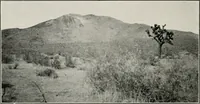 An illustration from The structural and industrial materials of California (1906)