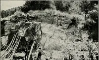 Picture 52 of 158 from The structural and industrial materials of California (1906), leaf 120