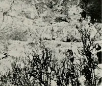 Picture 53 of 158 from The structural and industrial materials of California (1906), leaf 120