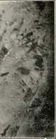 Picture 63 of 158 from The structural and industrial materials of California (1906), leaf 134
