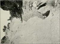 An illustration from The structural and industrial materials of California (1906)