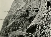 Picture 86 of 158 from The structural and industrial materials of California (1906), leaf 188