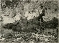 An illustration from The structural and industrial materials of California (1906)
