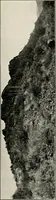 An illustration from The structural and industrial materials of California (1906)