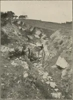 Picture 151 of 158 from The structural and industrial materials of California (1906), leaf 339