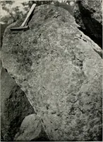 An illustration from The structural and industrial materials of California (1906)