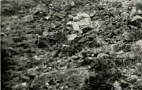 Picture 28 of 158 from The structural and industrial materials of California (1906), leaf 67