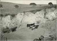 Picture 29 of 158 from The structural and industrial materials of California (1906), leaf 74