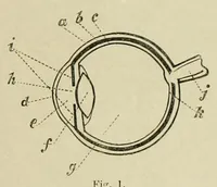An illustration from Spectropia, or, Surprising spectral illusions : showing ghosts everywhere, and of any colour : with sixteen illustrations (1864)