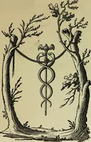 An illustration from Der Hypnotismus; Vorlesungen gehalten an der K. Friedrich-Wilhelms-Universität zu Berlin (1890)