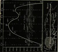 An illustration from Histoire de mes ascensions : récit de vingt-quatre voyages aériens [1868-1877] (1880)