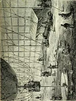 Picture 46 of 58 from Les aérostats (1887), leaf 202