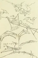 Picture 5 of 83 from La navigation aérienne : l'aviation et la direction des aérostats dans les temps anciens et modernes (1886), leaf 32