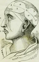 An illustration from History and progress of phrenology. (Read before the Western phrenological society, at Buffalo,) (1839)