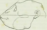An illustration from History and progress of phrenology. (Read before the Western phrenological society, at Buffalo,) (1839)