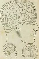 An illustration from Trials and triumphs of an orphan girl : or the biography of Mrs. Deiadamia Chase, physician and phrenologist (1859)