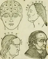 An illustration from Trials and triumphs of an orphan girl : or the biography of Mrs. Deiadamia Chase, physician and phrenologist (1859)