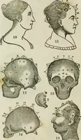 An illustration from Trials and triumphs of an orphan girl : or the biography of Mrs. Deiadamia Chase, physician and phrenologist (1859)