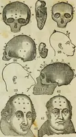 An illustration from Trials and triumphs of an orphan girl : or the biography of Mrs. Deiadamia Chase, physician and phrenologist (1859)