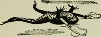 An illustration from Hypnotism and hynotic suggestion; a treatise on the uses and possibilities of hynotism, suggestion and allied phenomena (1900)