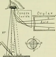 Picture 46 of 84 from The microscope and microscopical methods (1896), leaf 114
