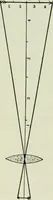 An illustration from The microscope and microscopical methods (1896)