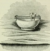 An illustration from The microscope and microscopical methods (1896)