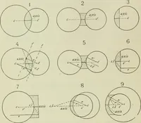 An illustration from The microscope and microscopical methods (1896)
