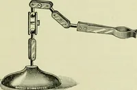 An illustration from The microscope and microscopical methods (1896)