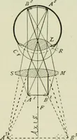 An illustration from The microscope and microscopical methods (1896)