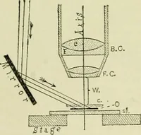 An illustration from The microscope and microscopical methods (1896)