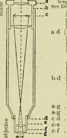 An illustration from The microscope and microscopical methods (1896)