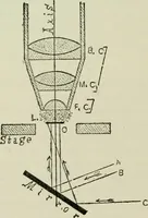 An illustration from The microscope and microscopical methods (1896)