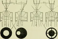 An illustration from The microscope and microscopical methods (1896)