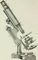 An illustration from The microscope and microscopical methods (1896)