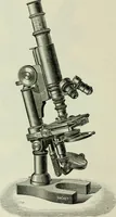 An illustration from The microscope and microscopical methods (1896)