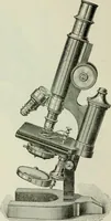An illustration from The microscope and microscopical methods (1896)