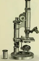 An illustration from The microscope and microscopical methods (1896)