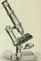 An illustration from The microscope and microscopical methods (1896)