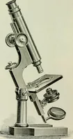 An illustration from The microscope and microscopical methods (1896)