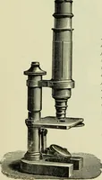 An illustration from The microscope and microscopical methods (1896)