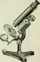 An illustration from The microscope and microscopical methods (1896)