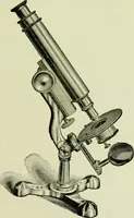 An illustration from The microscope and microscopical methods (1896)