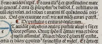 An illustration from Liber Teisir, sive Rectificatio medicationis et regiminis : antidotarium