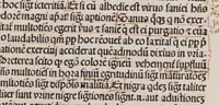 An illustration from Canon medicinae