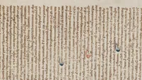 An illustration from Expositio super quarta fen primi Canonis Avicennae