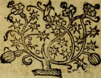 An illustration from Ristretto delle grandezze di Roma [electronic resource] (1637)