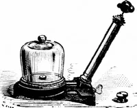 An illustration from Common objects of the microscope [electronic resource] (1900)