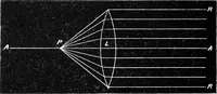 An illustration from Common objects of the microscope [electronic resource] (1900)