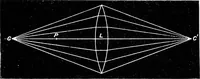 An illustration from Common objects of the microscope [electronic resource] (1900)